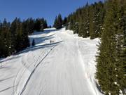 Piste facile Rietboden au télésiège Schabell