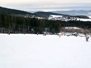 Piste facile aux Forsthausliften