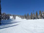 Piste facile Over the Hill