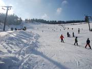 Vue en direction de la montagne