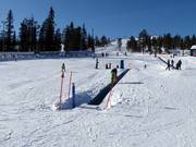 K Magic carpet - Tapis roulant/Moving Carpet