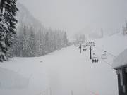 Piste Debbie´s Gold