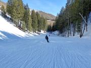 Piste facile Lower Broadway