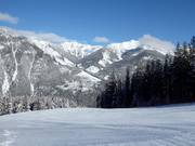 Descente Schober's Dream