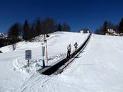 Childrens Park Vogel - Tapis roulant/Moving Carpet
