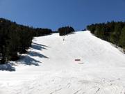 Pistes au Pla de la Cot