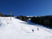 Piste Bärnbissabfahrt