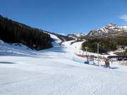 Les descentes vers la vallée se rejoignent