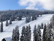 Pistes de difficulté moyenne aux remontées mécaniques de Zeller