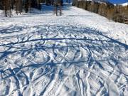 Pente de poudreuse en dessous de l'Alp Pradame