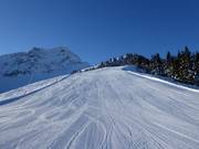 Pistes au Harschbichl et au pied du Kitzbüheler Horn