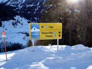 Signalisation sur les pistes
