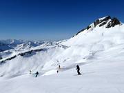 Descente Hochalpe au Damülser Mittagspitze