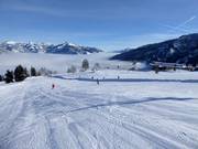 Piste facile au téléski Maisilift