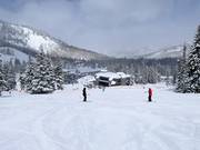 Pistes faciles au télésiège Majestic