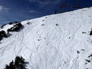 Larges pentes de poudreuse