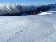 Piste damée au Venet