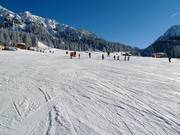 Large et facile piste sur l’Ehrwalder Alm