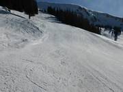 Piste de difficulté moyenne entre Planplatten et Gummenalp