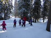 Cours de ski pour enfants sur la piste Trollskogen