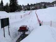 Wildcat Handle Tow - Télécorde/remonte-pente à câbles bas