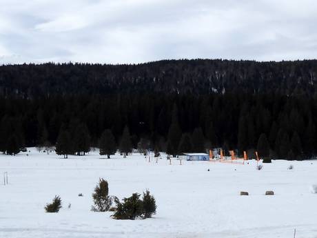 Ski nordique Alpes dinariques – Ski nordique Babin Do – Bjelašnica