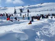 Piste de luge Alpine Meadow