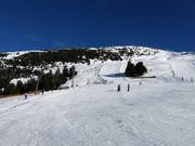 Piste pour débutants à la station intermédiaire