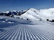 Piste fraîchement préparée