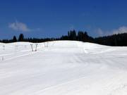 Piste Wasenlift