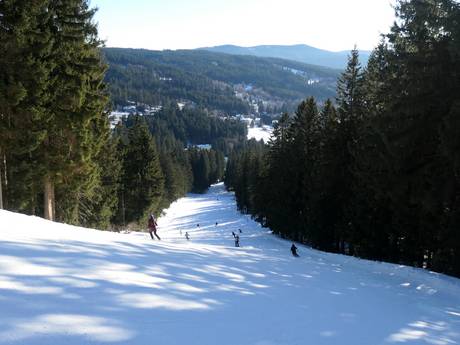 Diversité des pistes Železná Ruda – Diversité des pistes Špičák