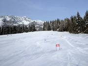 Piste facile au Drachenlift II