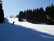 Bien inclinée : piste du Poppenberg