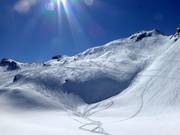 Rêve de poudreuse en hors-piste