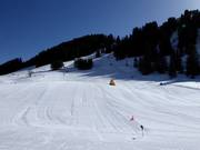 Espace débutant très bien préparé à Geils