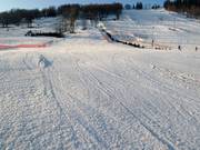 Piste damée