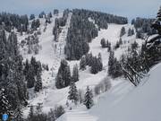 Brichou - 4 places | Télésiège à pinces fixes