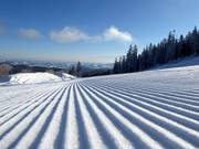Piste parfaitement préparée dans le domaine skiable de Mönichkirchen/Mariensee