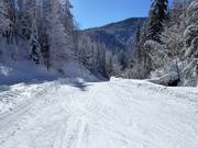 Descente facile vers la vallée (itinéraire de ski) jusqu'à Seegatterl