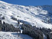 Espace skiable libre au Zillertal Shuttle