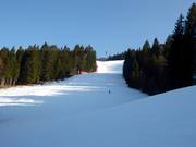 La Kandahar est raide