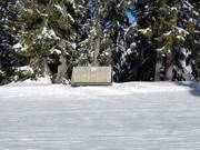 Les débutants adorent les bancs ensoleillés pour se reposer.