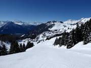 Descente Scheene Bodu