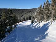 Piste facile Lázeňská