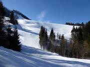 Piste vers le téléski Steinling