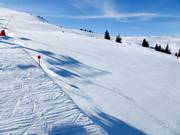 Même l'après-midi, la piste reste en parfait état.
