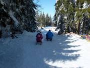 Bon plan pour les enfants :  - Les pistes de luge d'Arber