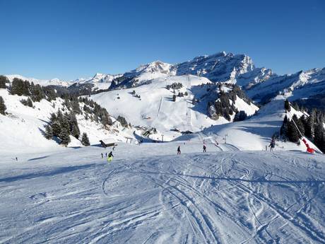 Diversité des pistes Vaud – Diversité des pistes Villars/Gryon/Les Diablerets
