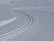 Piste de ski de fond d'altitude au Fallbichl