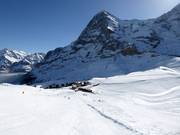 Vue depuis le Lauberhorn vers la Kleine Scheidegg